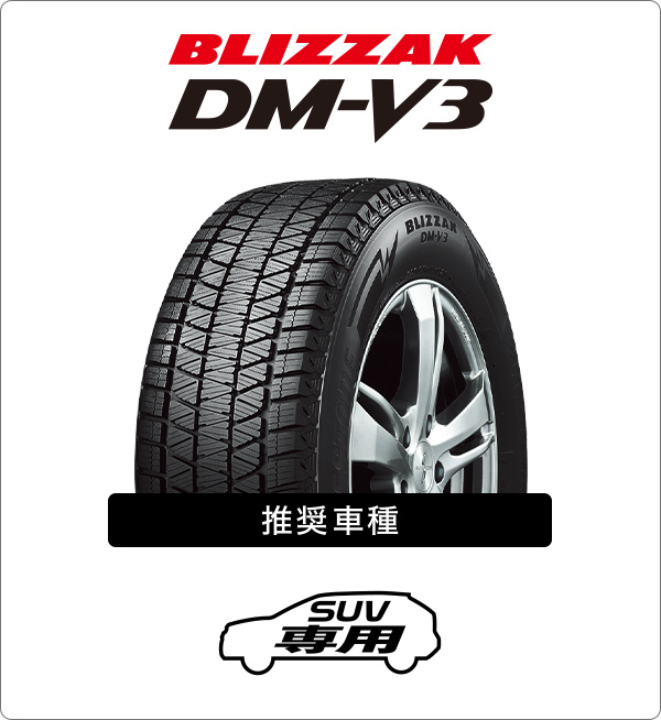 BLIZZAK