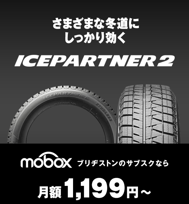 ICE PARTNER2